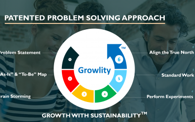 What is Growlity’s Problem Solving Approach for 100% Business Success?
