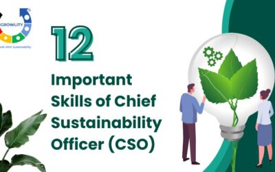 12 Important Skills of Chief Sustainability Officer (CSO)