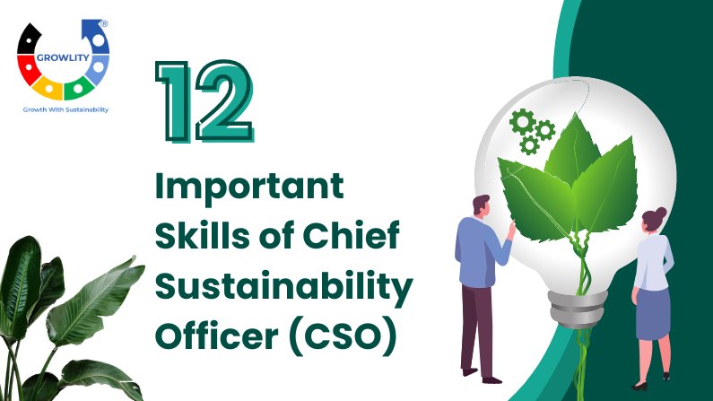 12-important-skills-of-chief-sustainability-officer-cso