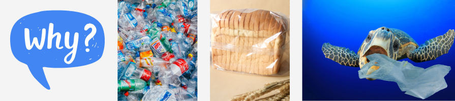 why-beat-plastic-world-environment-day-2025